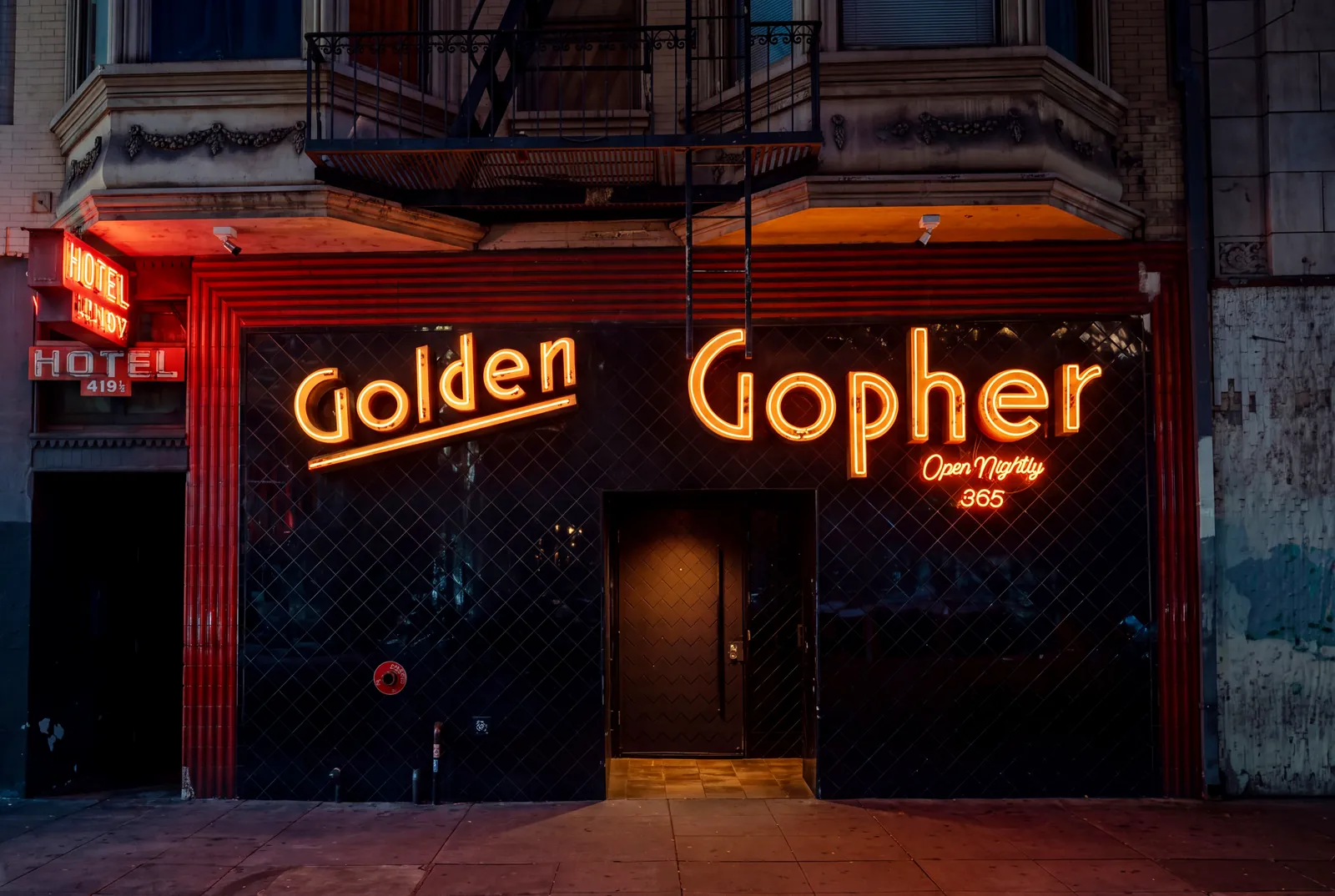 Golden Gopher photo